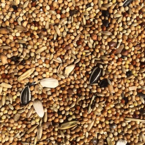 Wierikx Parkiet grof nr 2 20 kg