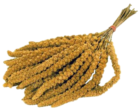 Trosgierst Trosgierst per doos 15 kg