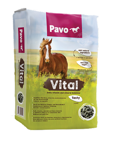 Pavo Vital 20 kg