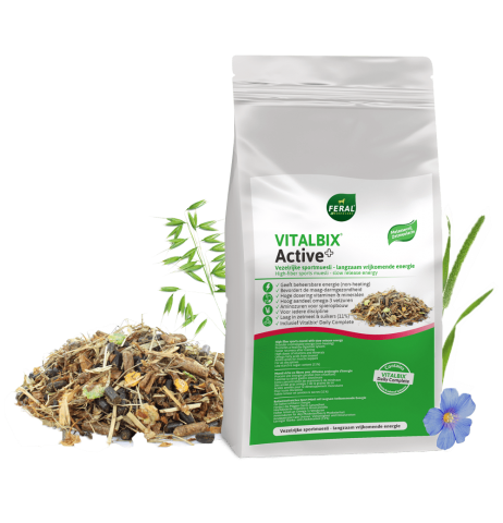 Vitalbix Active + 22 kg