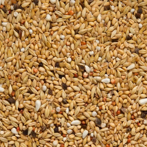 Beyers Zuivering 5 kg