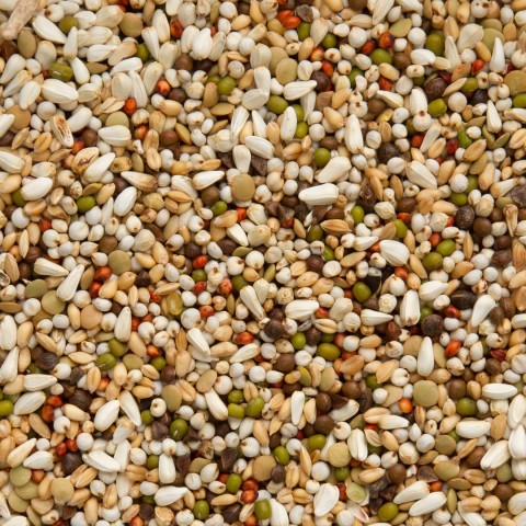 Beyers Wal-zoontjes 5 kg