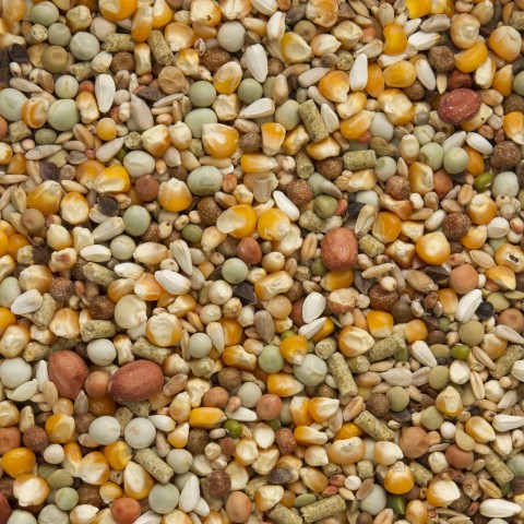 Beyers Premium Koopman all in one 20 kg