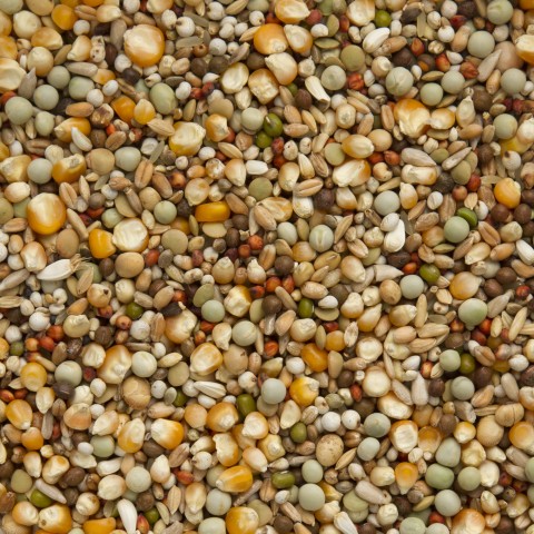 Beyers Premium Briljant 20 kg