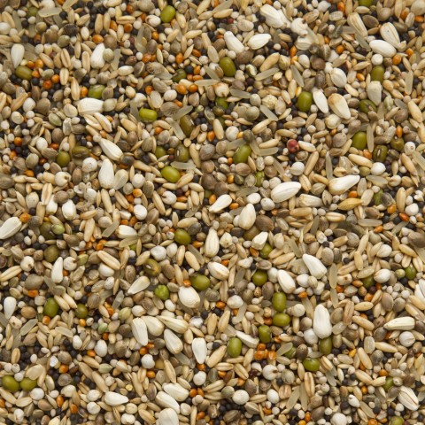 Beyers Premium snoepzaad exclusief 10 kg