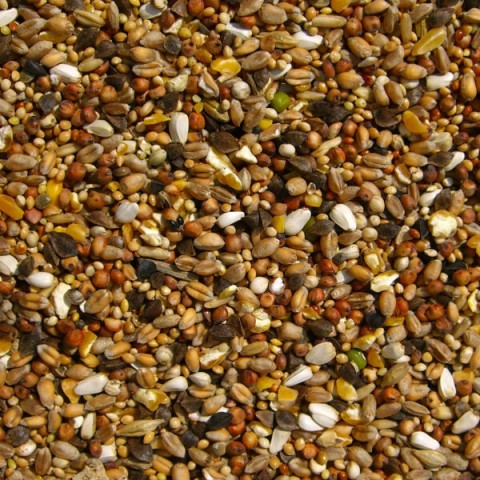 Wierikx Tortelduif 5 kg