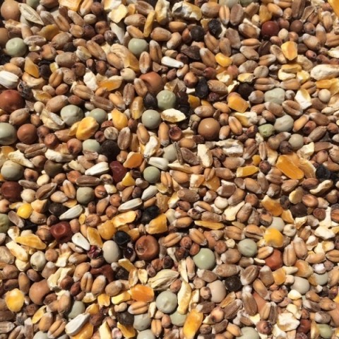 Wierikx Sierduiven 20 kg