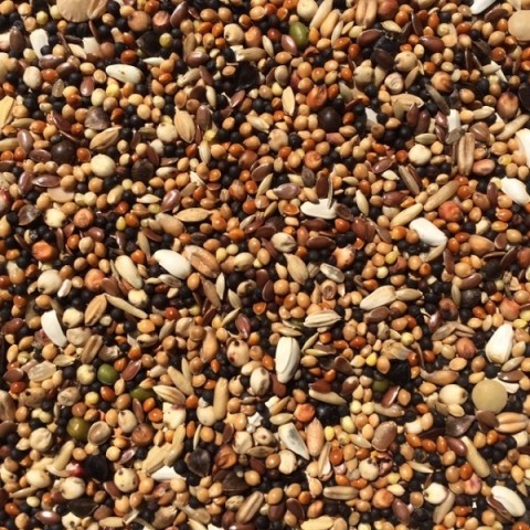 Wierikx Snoepzaad 20 kg