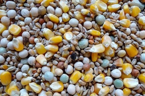 Havens Vier-seizoenen select 5 kg