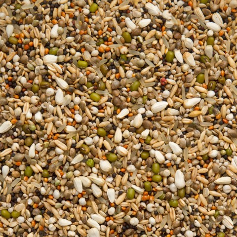 Beyers Snoepzaad 2,5 kg