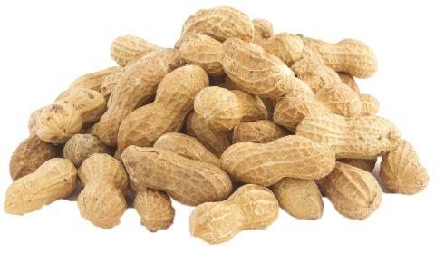 Diversen Pinda-in-dop 1 kg