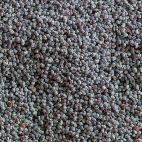 Enkelvoudig Blauw maanzaad 1 kg