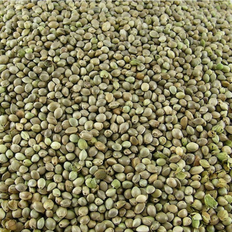 Enkelvoudig Hennep zaad 10 kg