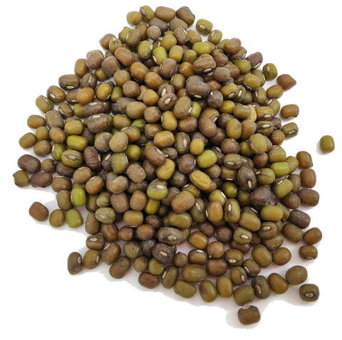 Enkelvoudig Katjang Idjoe 5 kg