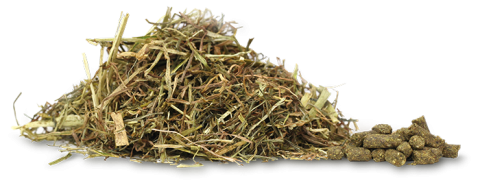 Hartog Complete care senior 15 kg