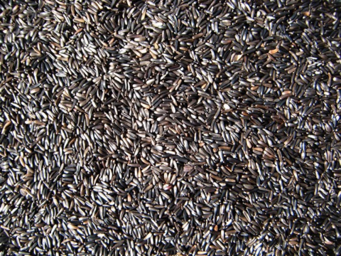 Enkelvoudig Negerzaad 5 kg