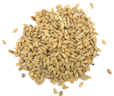 Enkelvoudig Paddy 10 kg