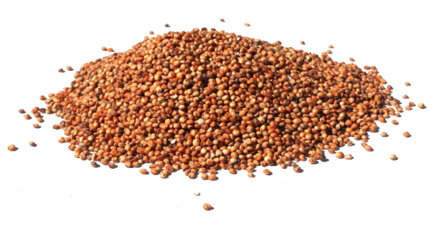 Enkelvoudig Rode dari 1 kg