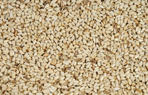 Enkelvoudig Saffloor pitten 1 kg