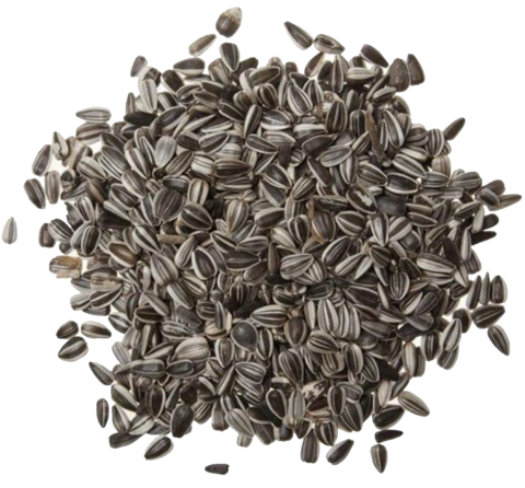 Enkelvoudig Zonnepitten gestreept 10 kg