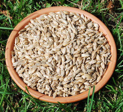 Bio-ron Ruwe spelt 20 kg