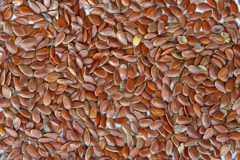 Enkelvoudig Lijnzaad 1 kg